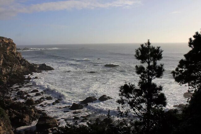 Building Photo - 1785 Austin Creek Rd