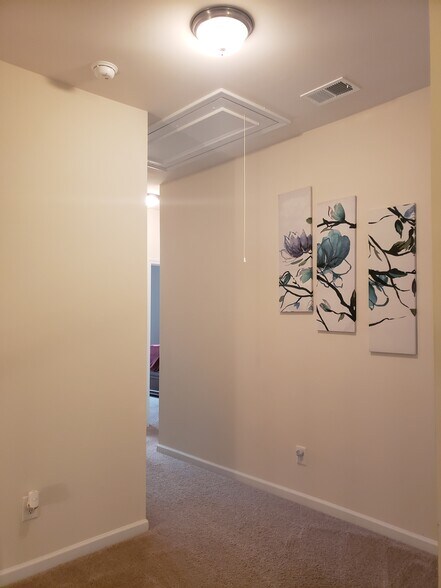 Upsatirs Hallway - 263 COOLWATER LN