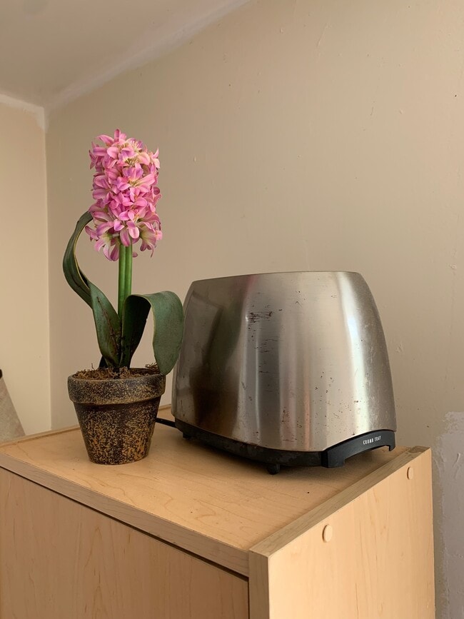 Building Photo - 137 N Stanley Dr