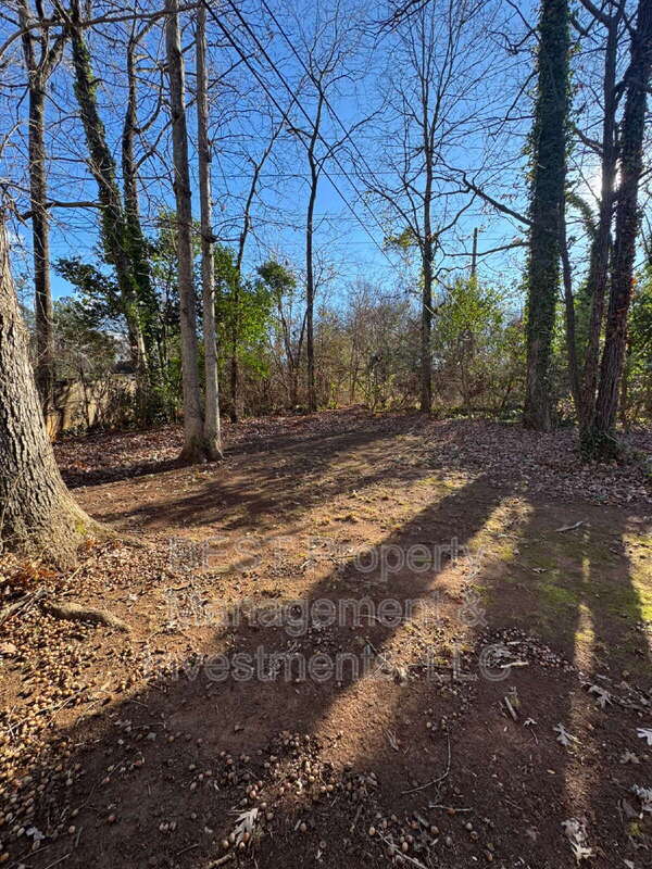 Building Photo - 1305 Norris Ave