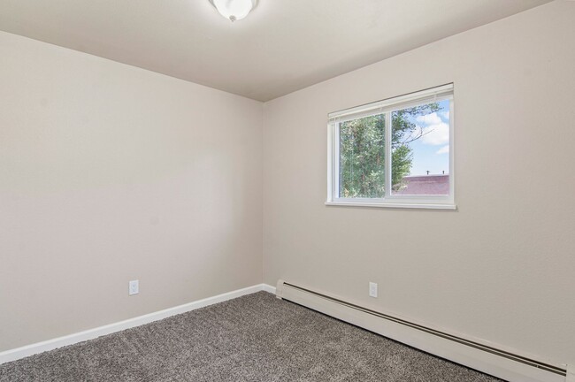 Building Photo - Remodeled and Old Colorado City under $1k