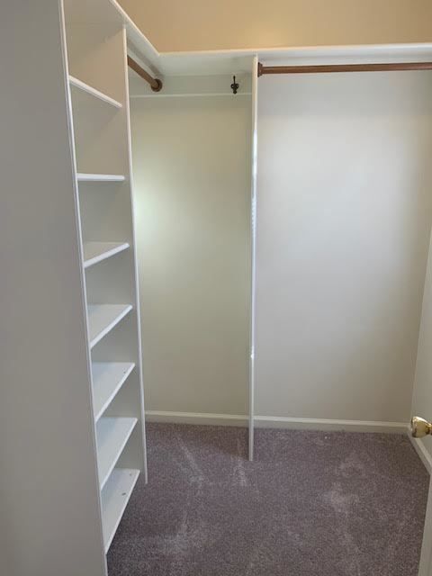 Building Photo - 4205 Williamsbrook Ln