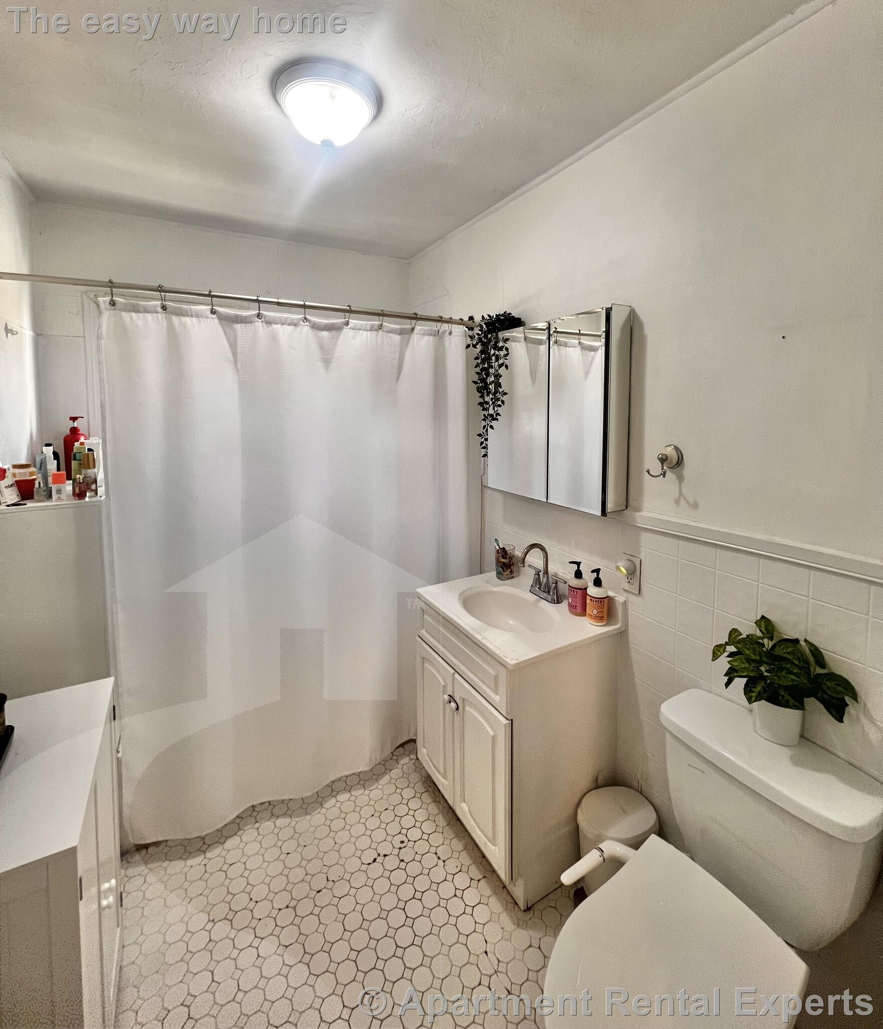 Building Photo - 282 Lowell St