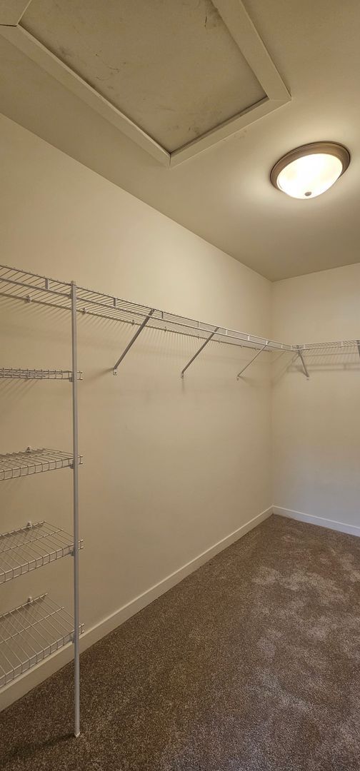 Building Photo - Brand New Douglas Fir-2Br/2Ba Rental Home-Second Floor