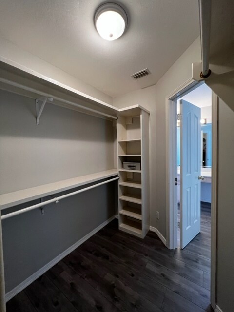 Master Closet 2 - 201 San Saba St