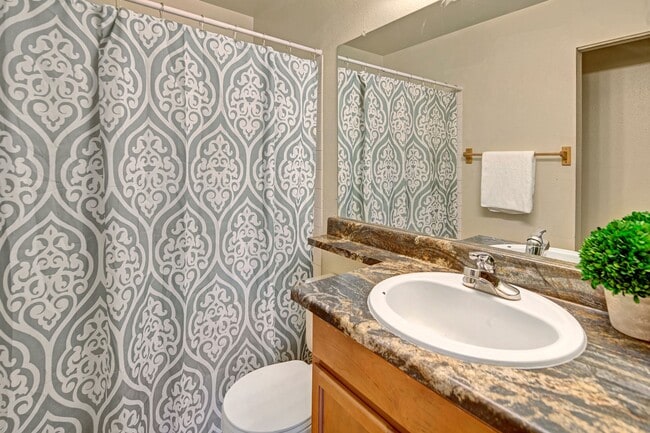 Conifer Grove Apartments - Bathroom - Conifer Grove