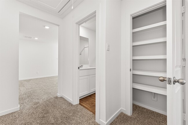 Building Photo - 3523 Adelie Ln