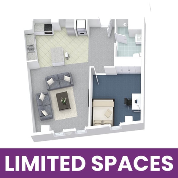 University Lofts 1x1B - Limited Spaces - University Lofts