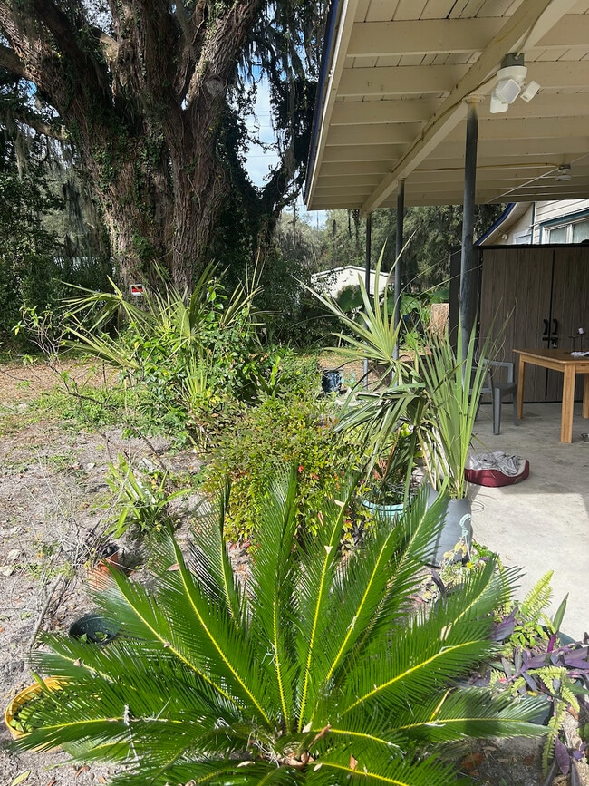 Building Photo - 3510 Woodland St