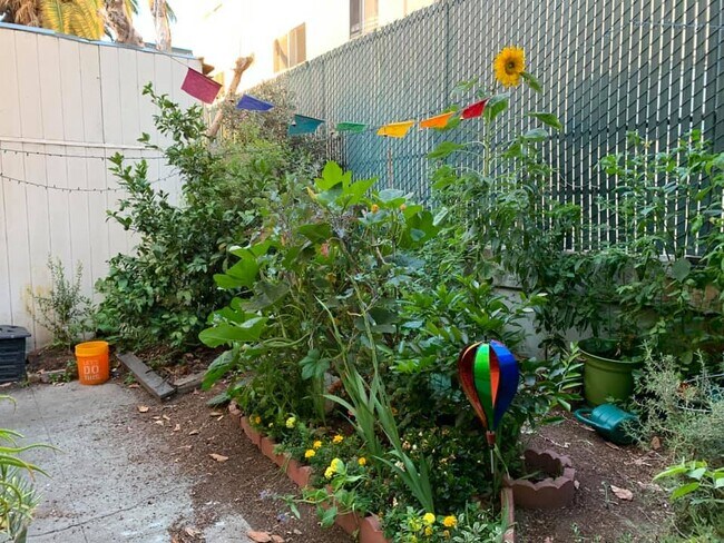 Vegetable Garden - 1502 Alice St