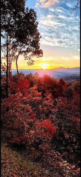 Building Photo - 235 Mountain Ridge