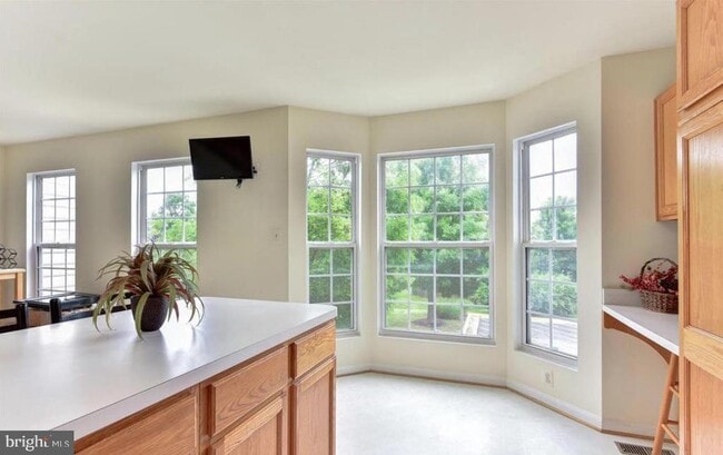 Building Photo - 4804 Heron Neck Ln