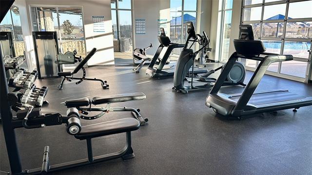 Building Photo - 5113 Greywing Dr