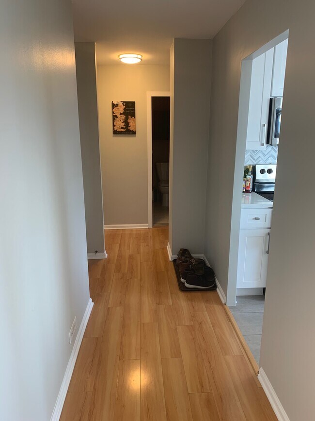 Hallway - 1360 N Sandburg Ter