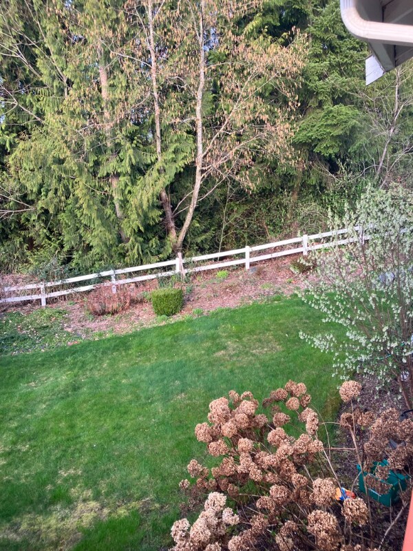 Building Photo - 8712 75th Dr NE