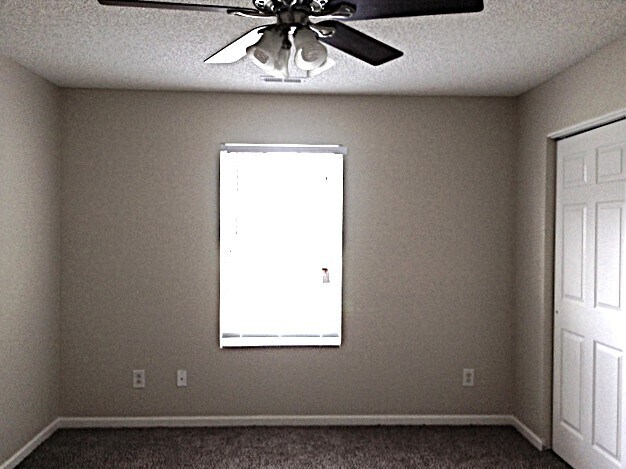 Building Photo - 2305 Apple Glen Ln