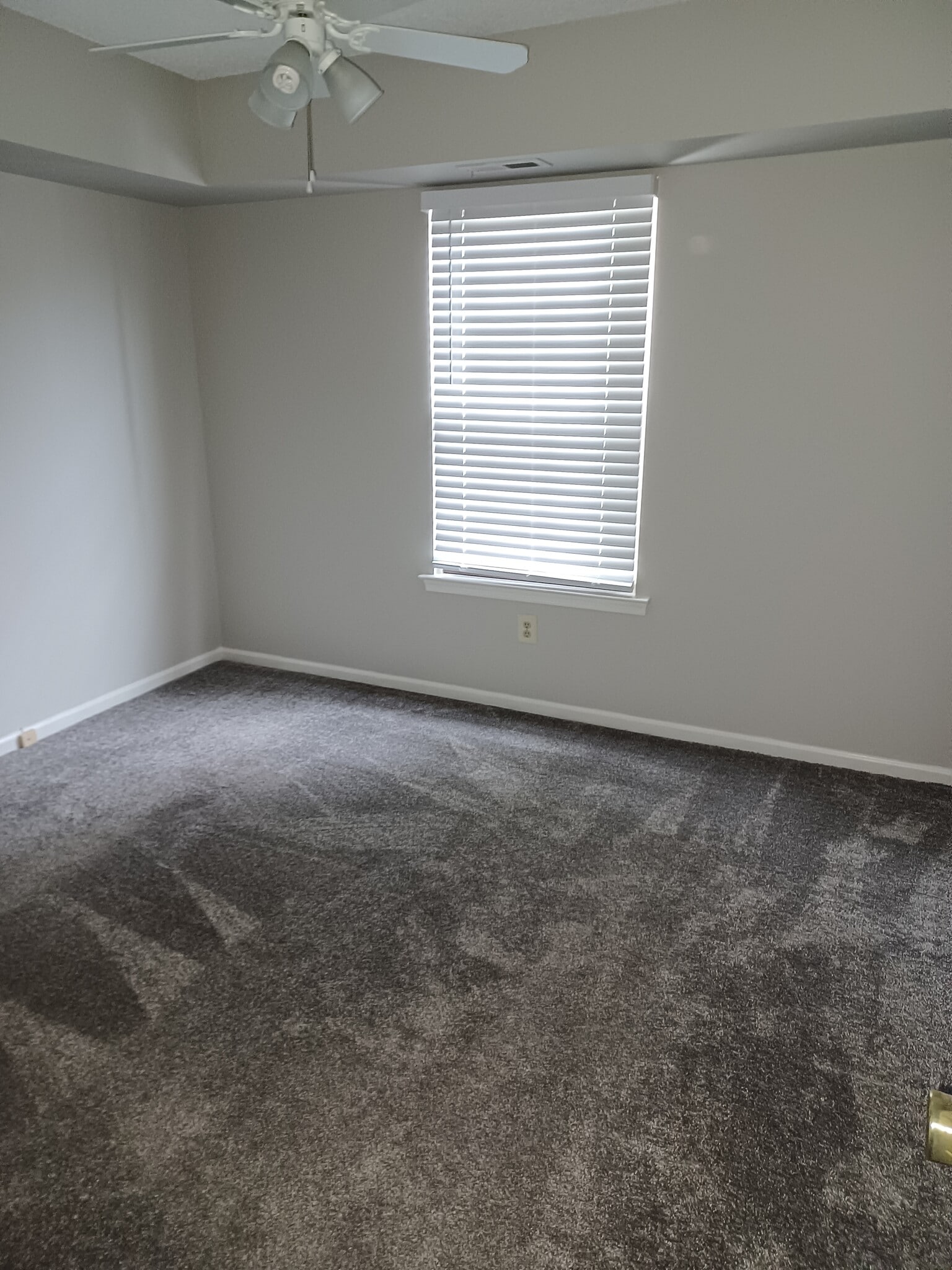 Small bedroom/office - View 1 - 2208 Clark Ct