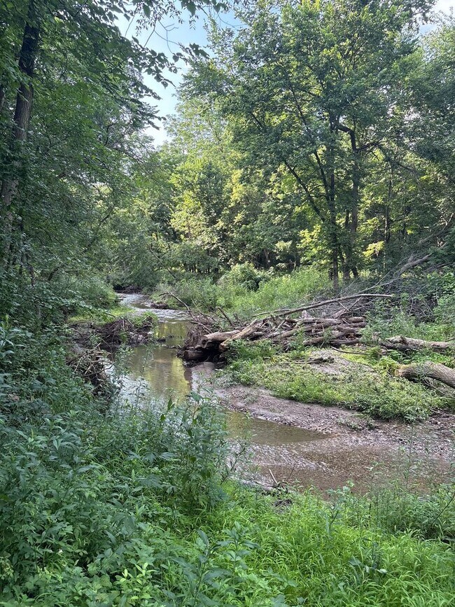 Building Photo - 220 Meadow Woods Dr