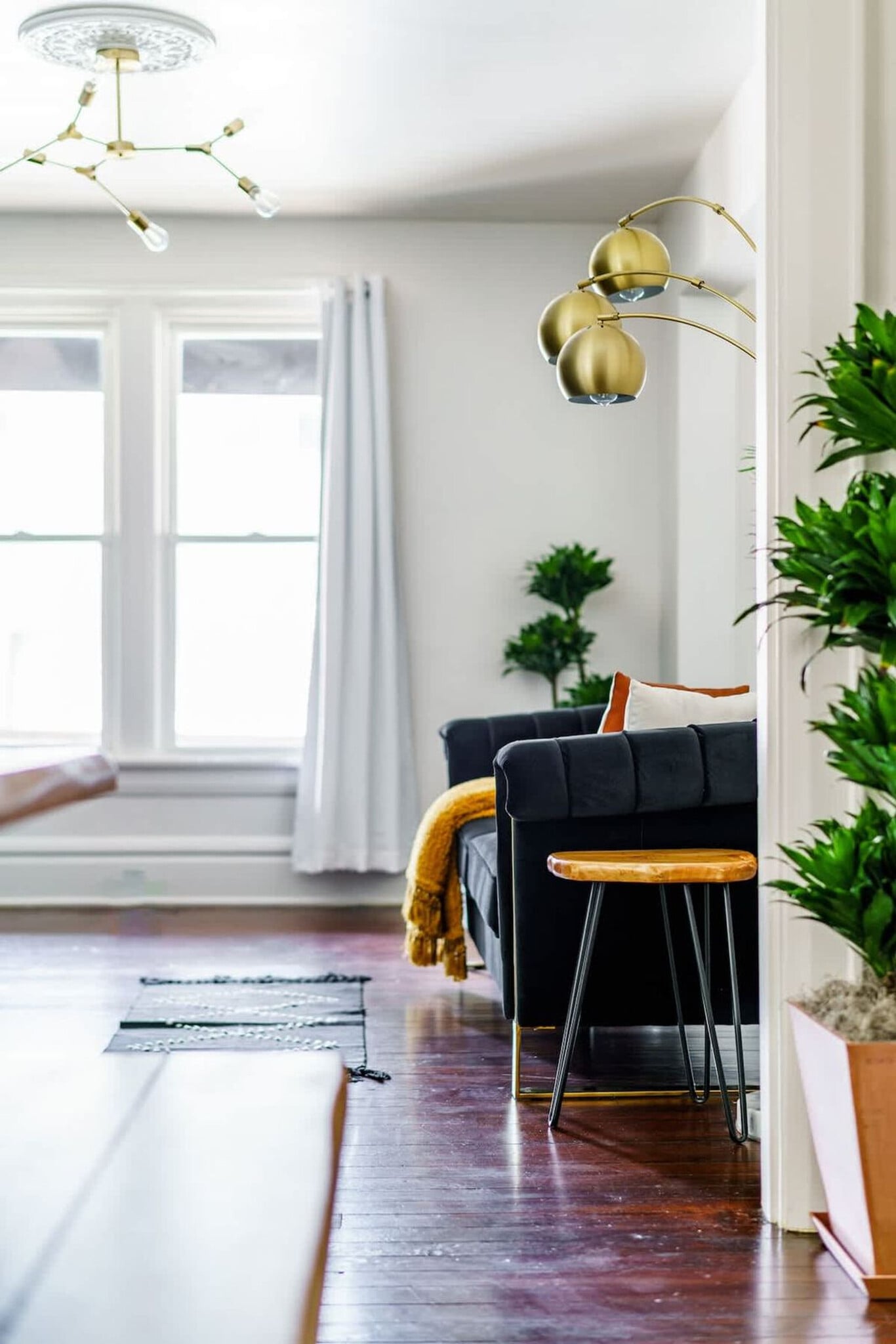 Building Photo - 33 Lundy St