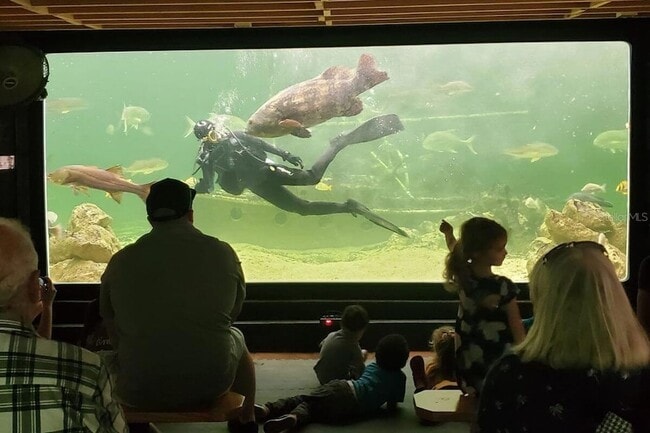 Building Photo - 9981 Eagles Point Cir