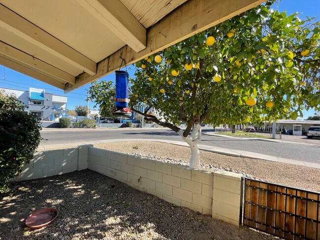 Primary Photo - Paradise Valley Apartments