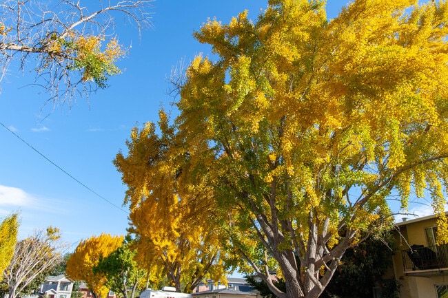 Building Photo - 2144 Royal Dr