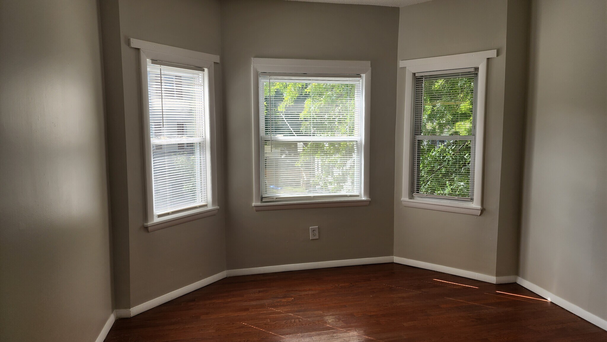 Building Photo - 235 Starr St