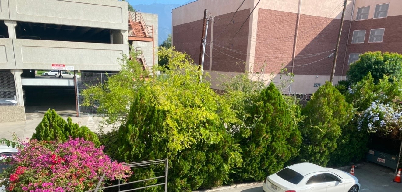 Building Photo - 2561 E Colorado Blvd