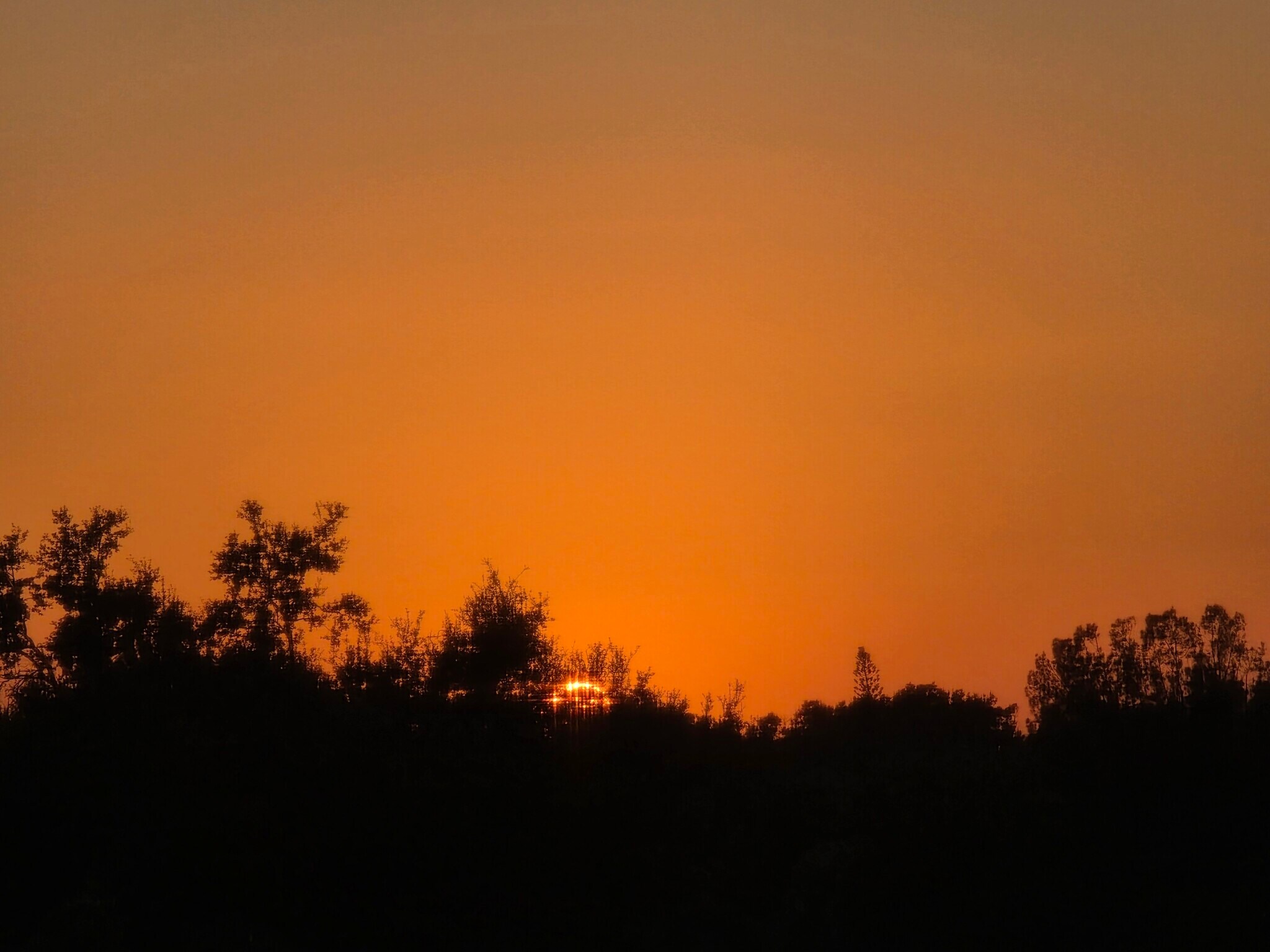 Sunset view from livingroom - 2901 26th St W