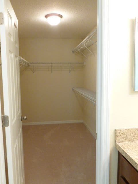 Building Photo - 2051 Shalimar Loop