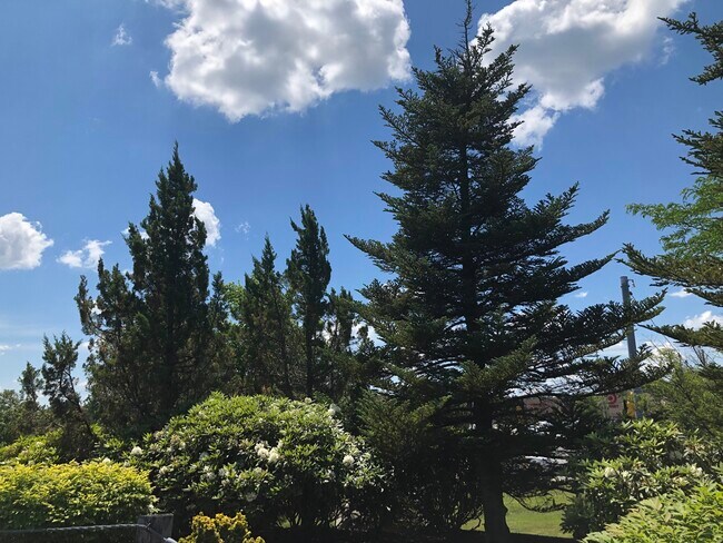 About 1-2 miles from nearby shops at the Loop. - 395 Merrimack St