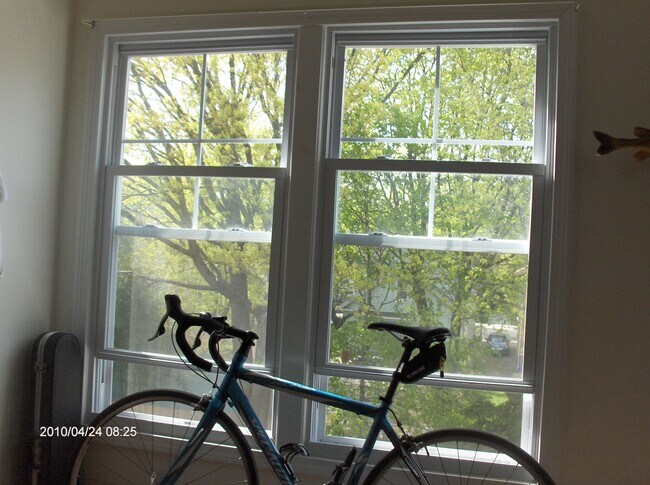 Building Photo - 72 Nash St