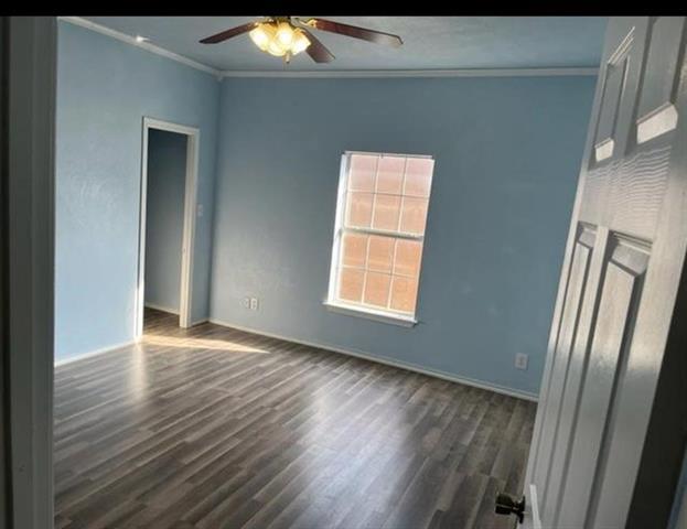 Building Photo - 411 Cooke St