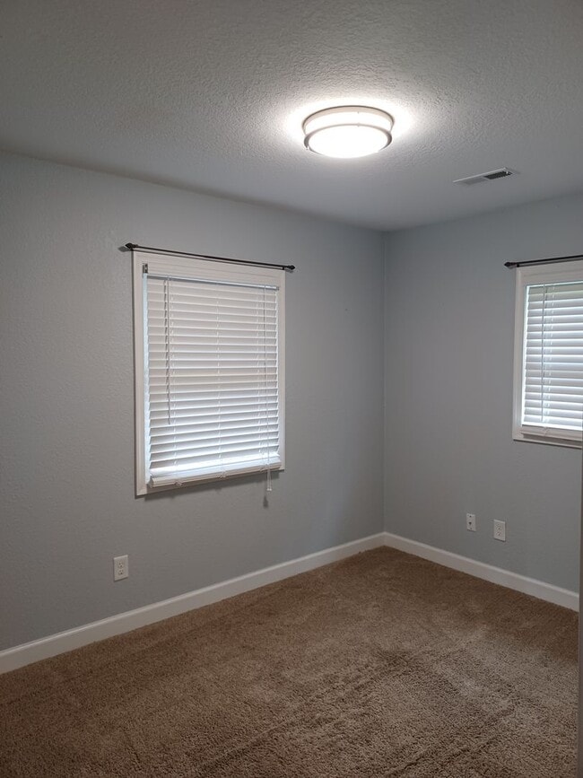 Building Photo - Beautiful home on large lot in Western Branch