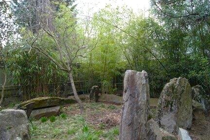 Bamboo Boulder Grotta - 1833 NE 52nd Ave