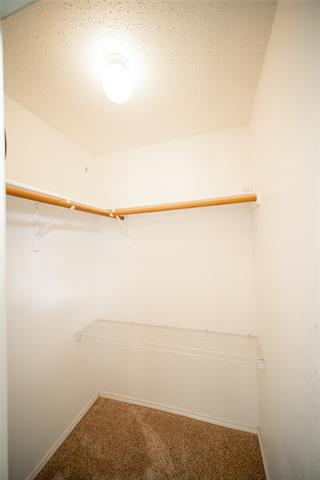 Building Photo - 4500 Shady Hollow Dr