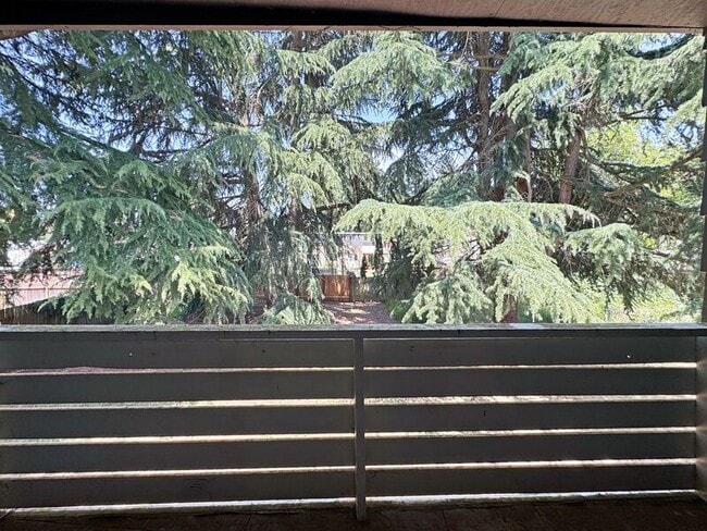 Building Photo - 519 Cinderella Loop