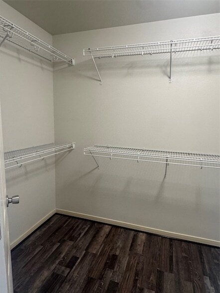 Building Photo - 2842 Sandberry Dr