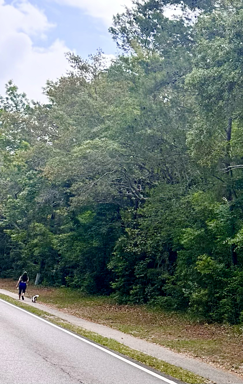 a lot of walking and biking trails - 109 Westlake Ct