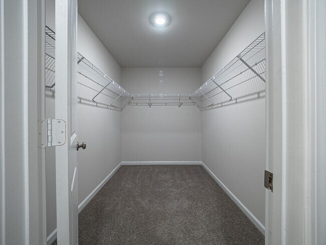 Building Photo - 1830 Lacebark Dr