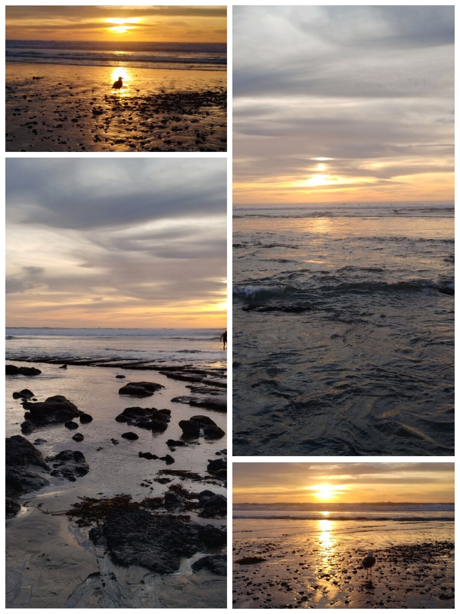 Building Photo - 1845 N Vulcan Ave