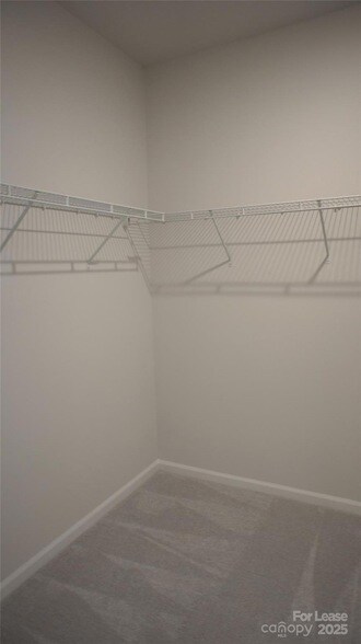 Building Photo - 106 White Apple Wy