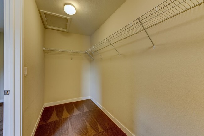 Building Photo - Beautiful 3 bed Uptown Broomfield Townhome...