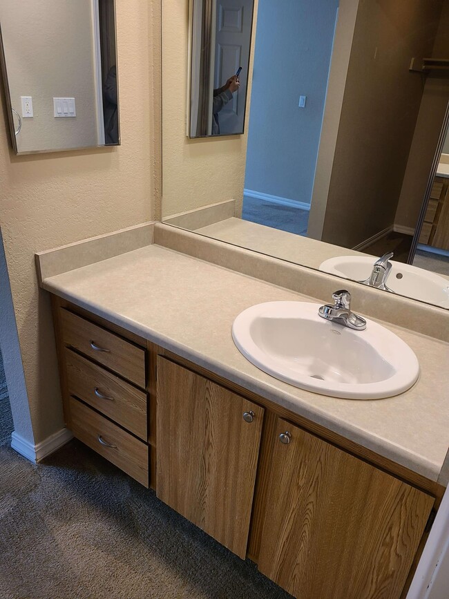 Master bedroom - vanity - 1760 W Sunn Fjord Ln