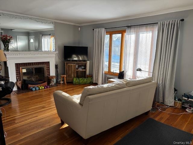 Building Photo - 664 Knollwood Dr