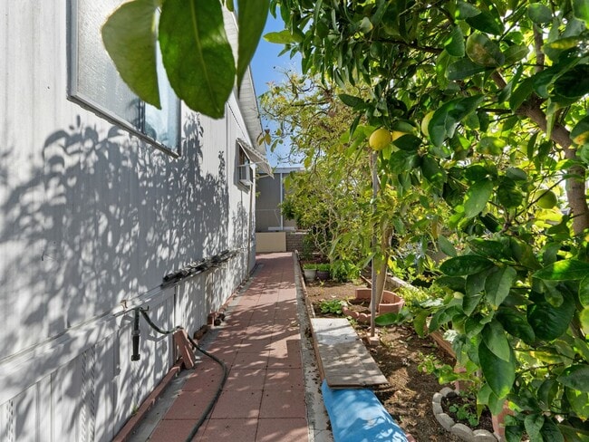 Building Photo - Cozy 3 bedrooms, 2 bathrooms, cover patio and carport available in San Marcos
