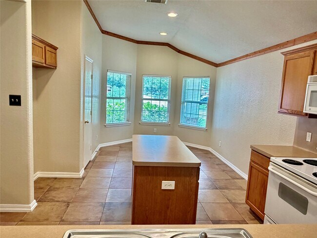 Building Photo - 13003 Bramford Pointe Ln