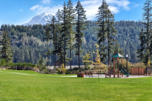 Building Photo - 17102 126th Street Ct E