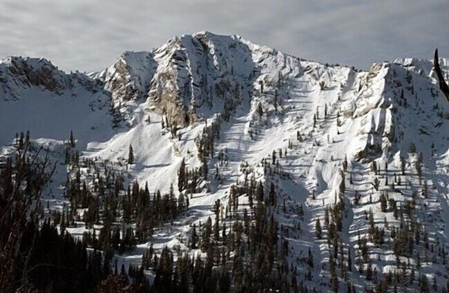 Building Photo - Available now! Solitude Luxury 1 bed / 1 bath Condo! Fully furnished!