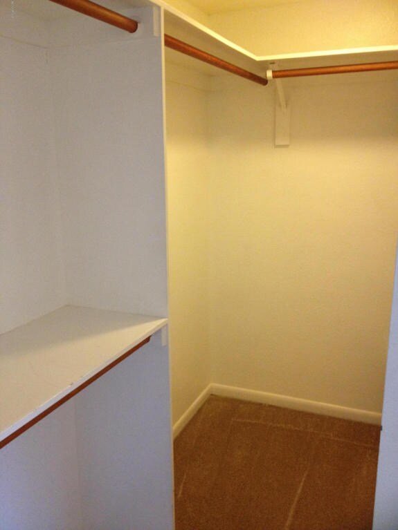 Lower level walk-in closet - 7209 E McDonald Dr